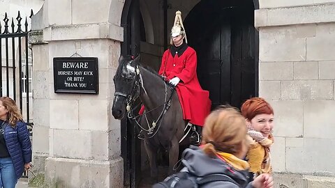 Boy to busy on the phone walks in to horse #horseguardsparade