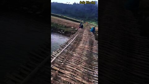 The precarious bridge over the stream of the villagers in my hometown