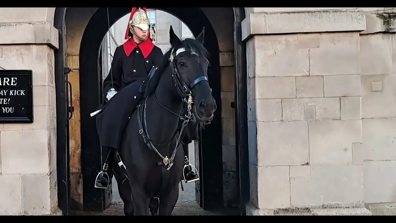 Horse gets spooked by by workmen taking Down speakers used on remberence Sunday #horseguardsparade