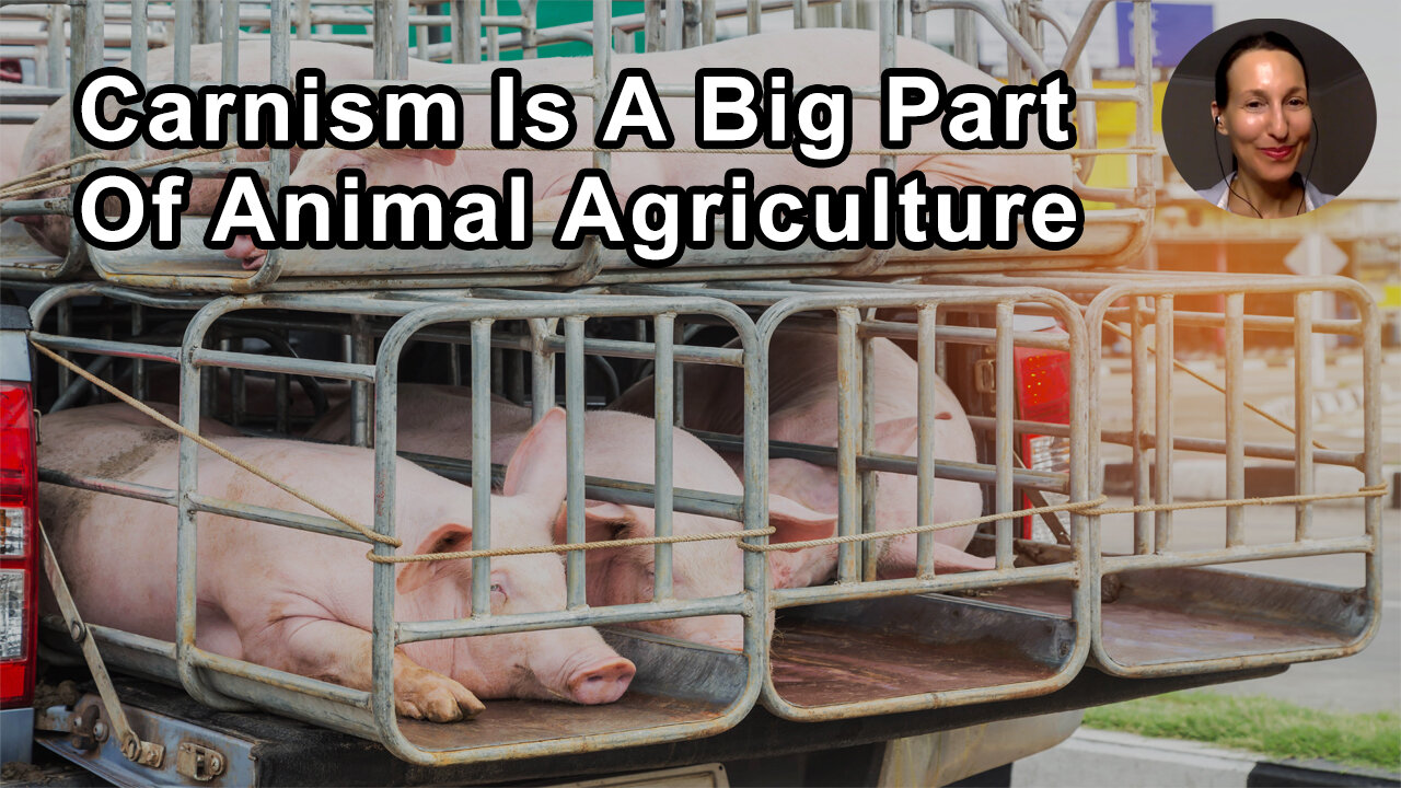 Carnism Is A Big Part Of The Root Of The Problem Of Animal Agriculture - Melanie Joy, PhD