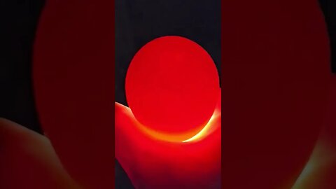 Hatching eggs with Mrs. B. Part 3