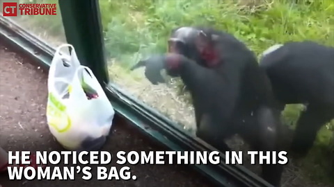 Ape Soda