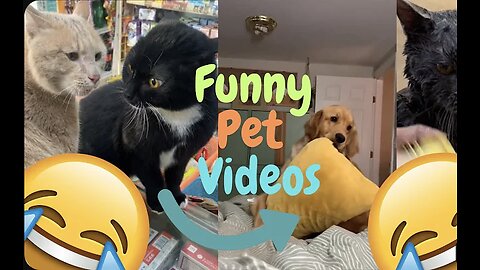 Pet Fails and Wins_ A Compilation of Hilarious and Heartwarming Moments