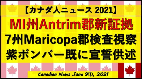 MI州Antrim郡新証拠/7州がAZ州Maricopa郡検査を視察/紫ボンバー既に宣誓供述