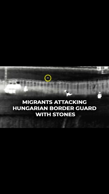 Migrants attacking hungarian border guard