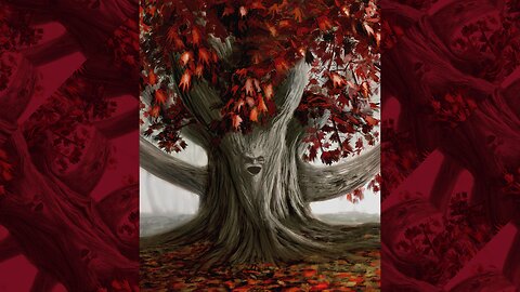 ASOIAF | What do the Weirwoods Want?