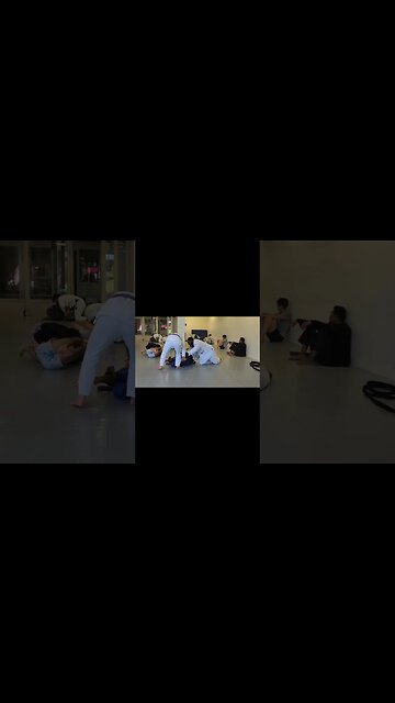 Black Belt Tings! She's Going To Be A Problem! #bjjlifestyle #jiujitsulifestyle #bjjsparring