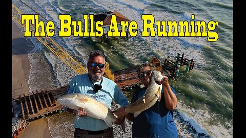 Your Best Damn Surf Fishing Report 12-23-24 The Bulls Are Running. Corpus Christi Texas