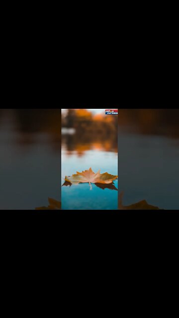 DIFERENÇA ENTREA A ÁGUA DO MAR E A ÁGUA DOCE!