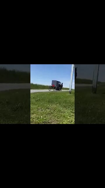 Just a Amish Buggy