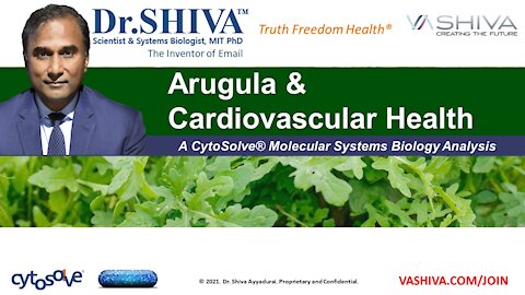 What Arugula Salad Can Do for Your Heart. - A CytoSolve Analysis.