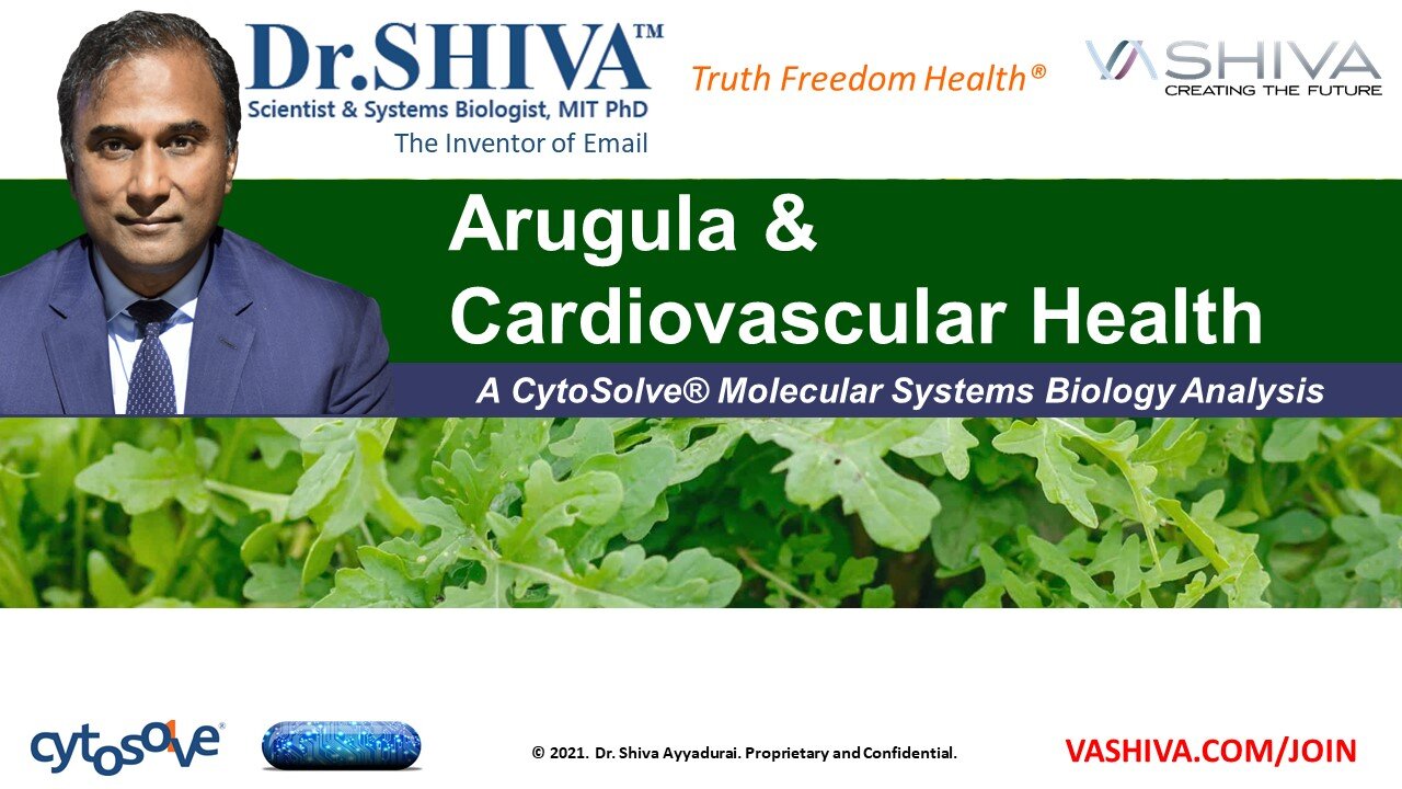 What Arugula Salad Can Do for Your Heart. - A CytoSolve Analysis.