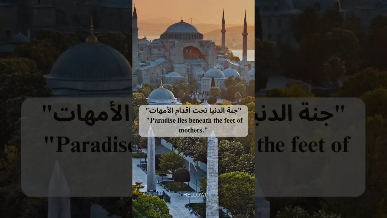 Quote For Mother 🫀 | @HelloWD | #islam #islamic #mother #islamicvideo #dua #tshorts