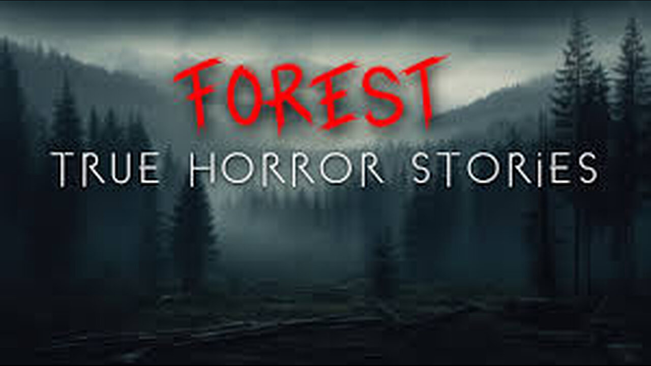 3 Scary True Forest Horror Stories