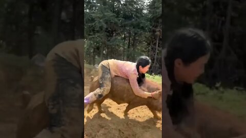 Damn! This Hot Chinese Girl Jumps on a Hog