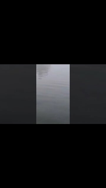 #bassfishing #motivational #bassfishinglife #youtubeshorts #shorts