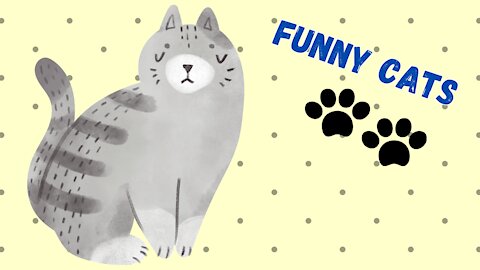 Watch now! Funny Cats cut in 2021