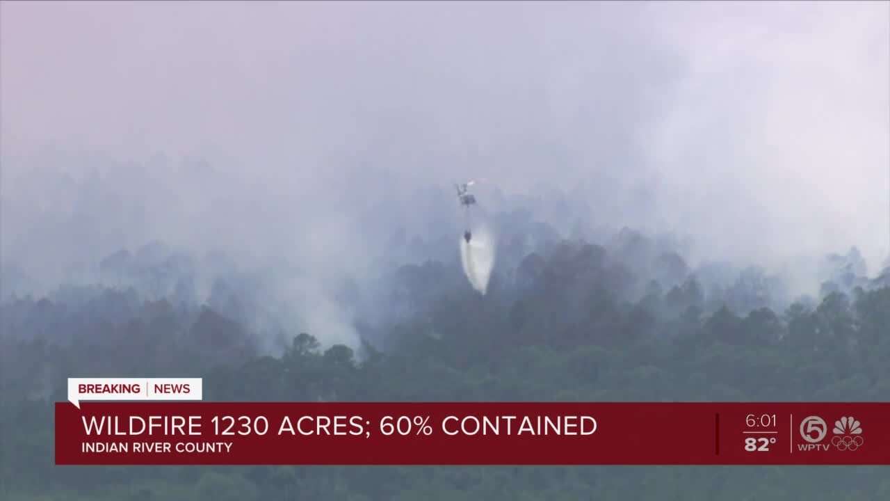 Tree Frog Wildfire in Indian River County 60% contained