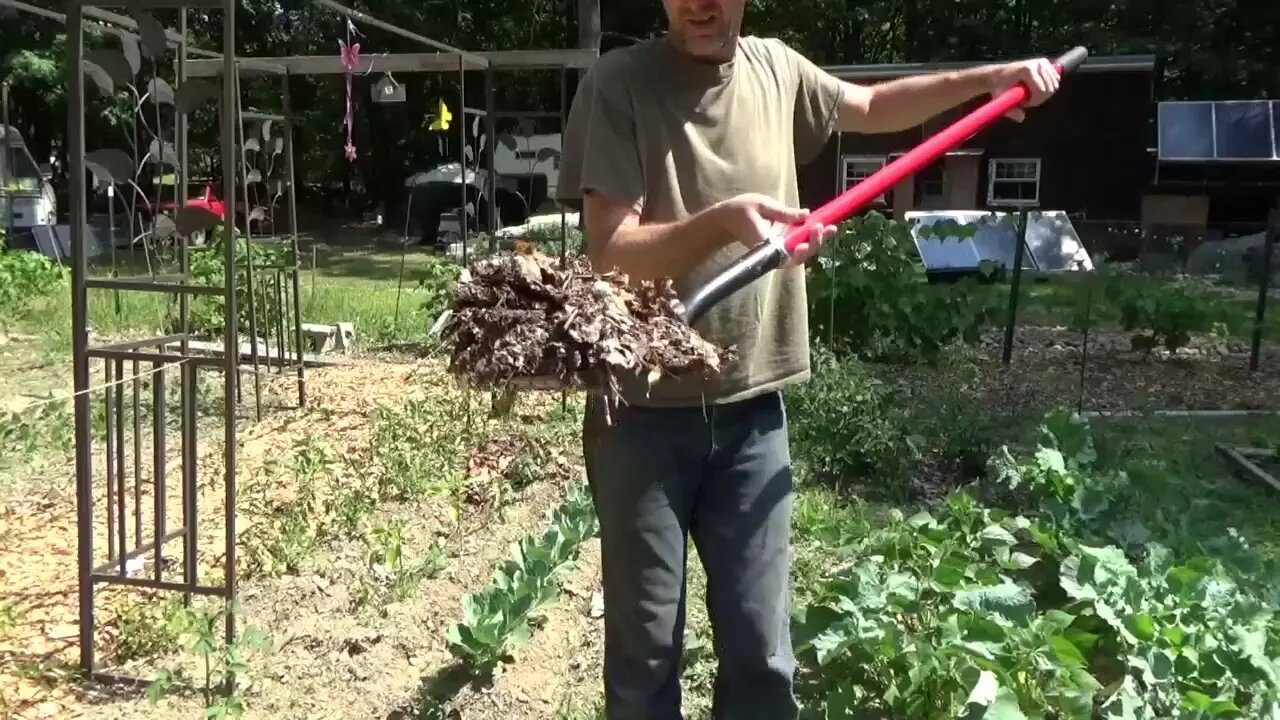 Homestead Gardening Interuppted By Badly Needed Rain