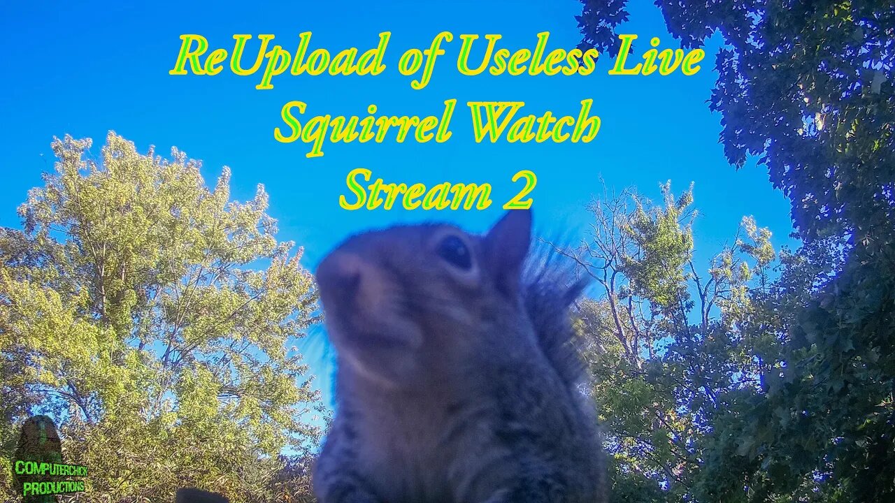 ReUpload of Useless LIVE - Squirrel Watch - Stream Part 2