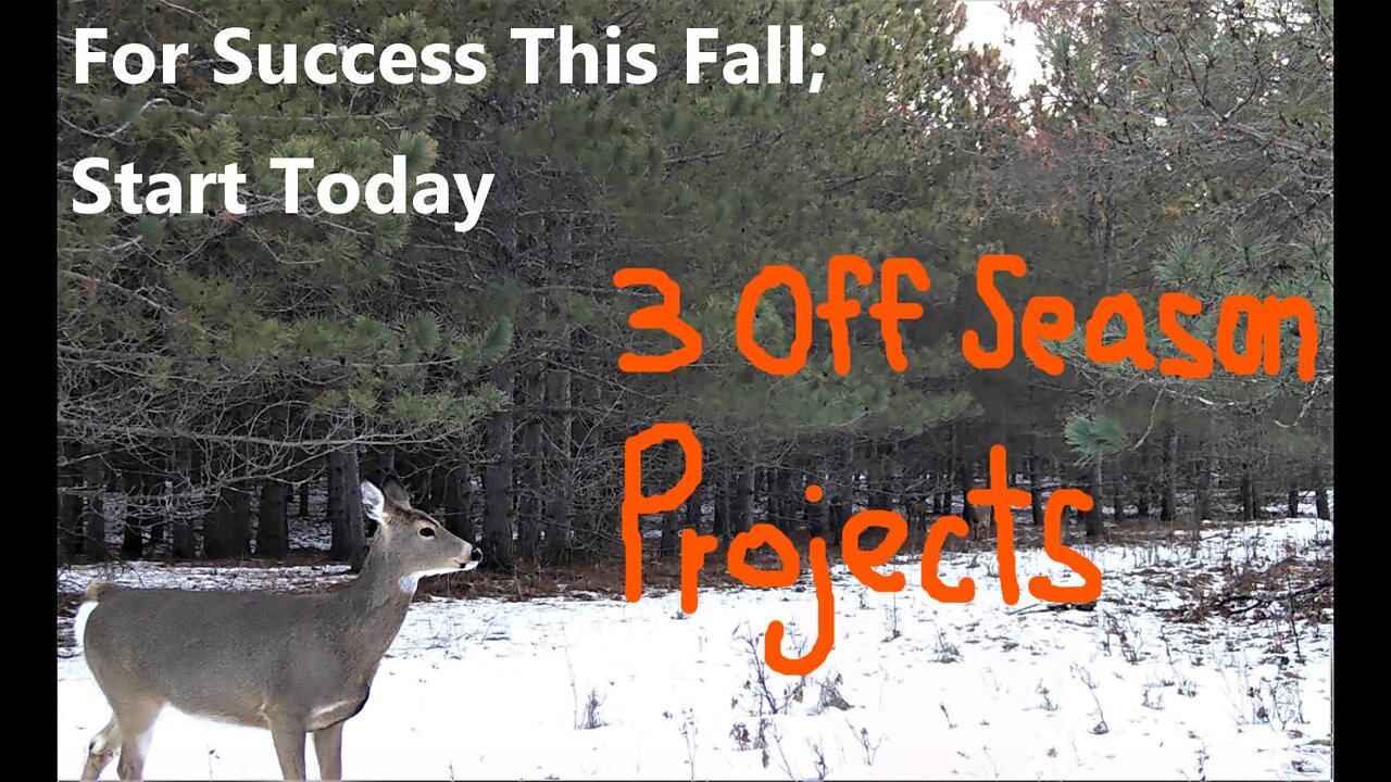 3 Off-Season Deer Projects