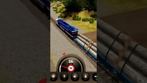 Goods Indian Train Race Game