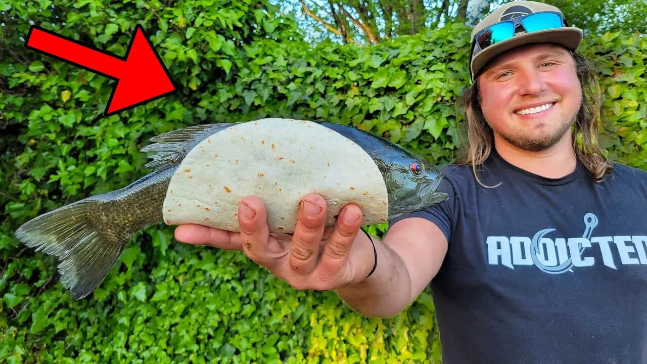 Smallmouth Bass Tacos! (Bass Fishermen TRIGGERED)