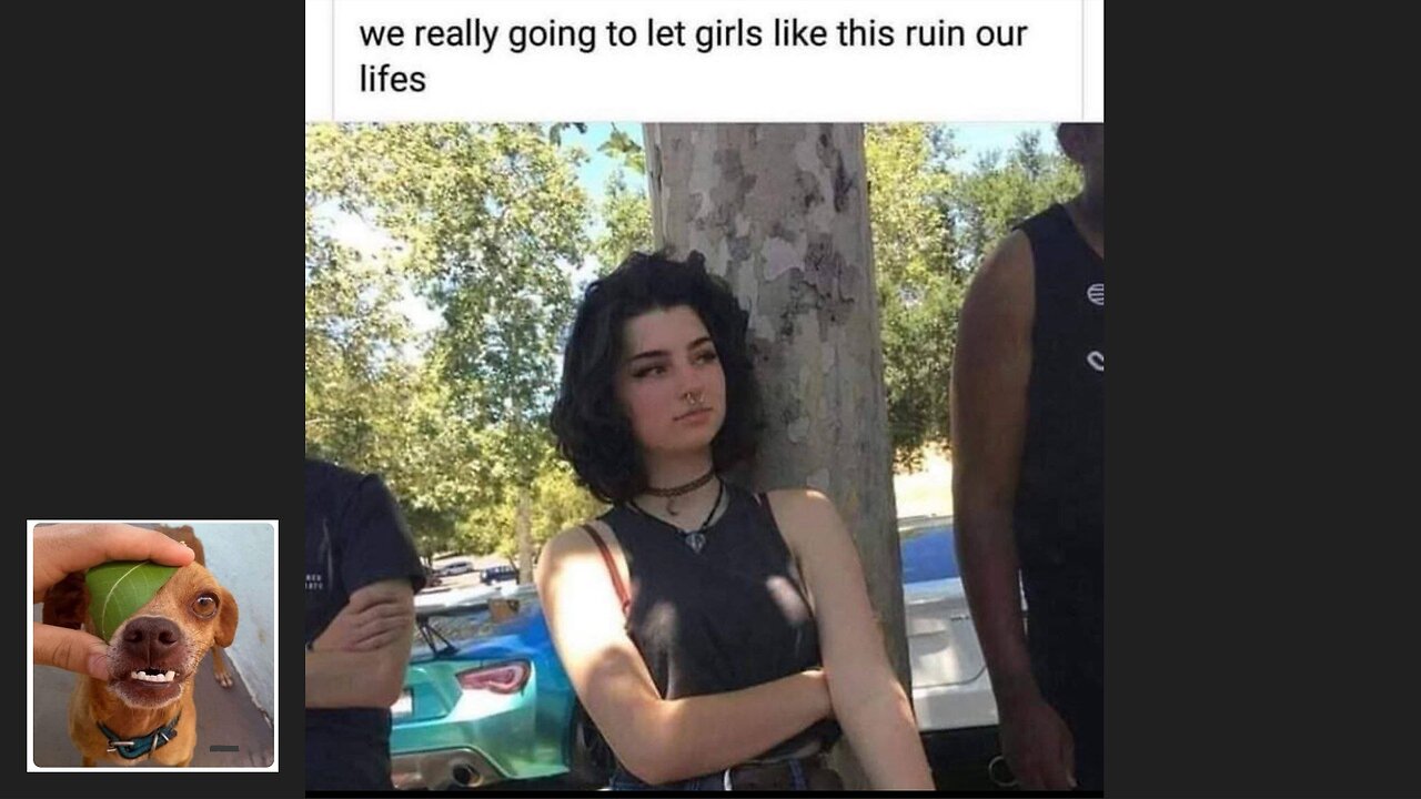 Memes That Will 99.805% Make You Laugh. (e30)