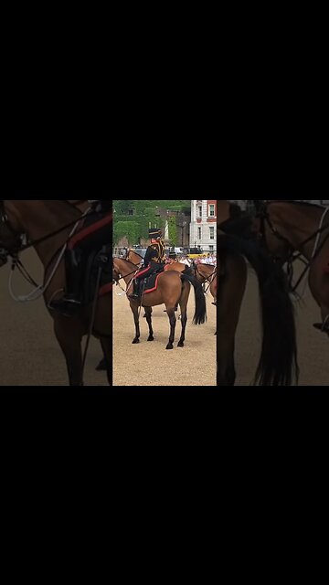 Horse won't stay still #horseguardsparade