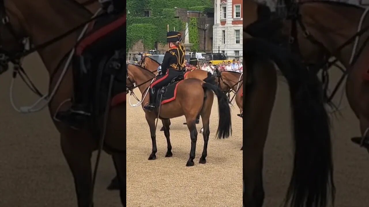 Horse won't stay still #horseguardsparade