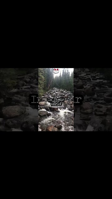 Extreme #Ownership, #Leaders Must Own Everything In Their #World, There Is No One Else To #Blame