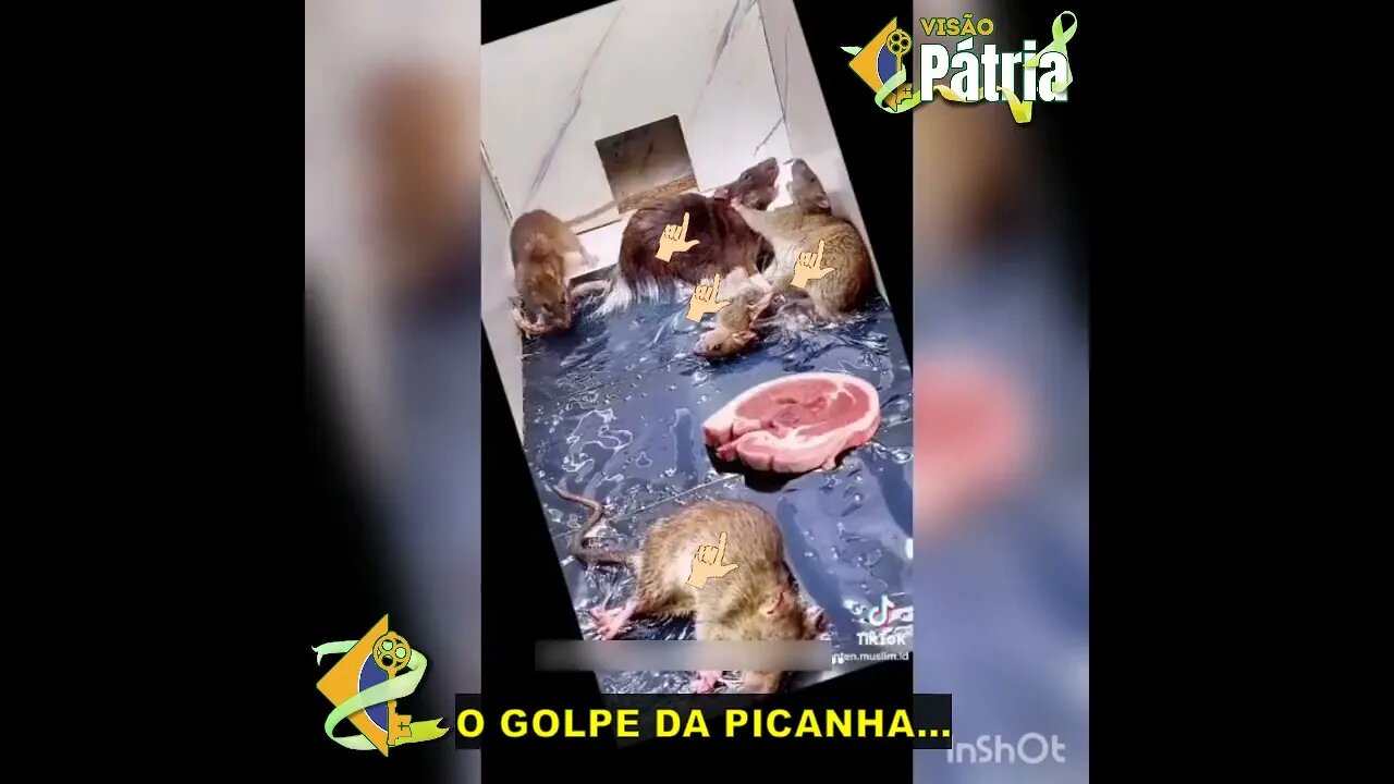 Conheçam as incríveis, as infalíveis, as espetaculares... ARMADILHAS FAZUÉLI! 🤣 Faz o L aí, Trouxa!