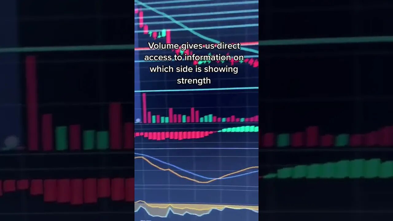 This day trading indicator falls the future 🔮 #stocks #invest #daytrading