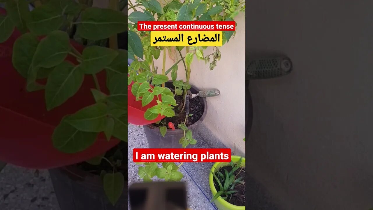 The present continuous tense. المضارع المستمر