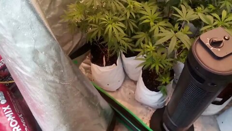 UPDATE on MOMS ⛺