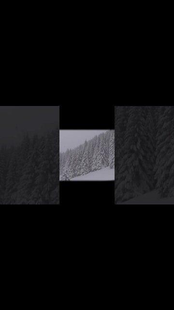 59 seconds of light winter rain. (asmr)