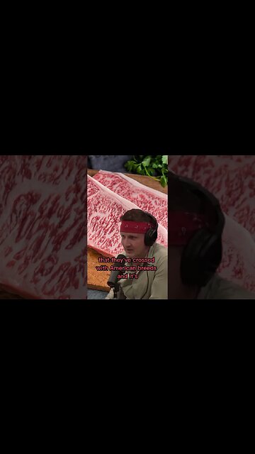 The food is so cheap in Vietnam - Joe Rogan & Sonny