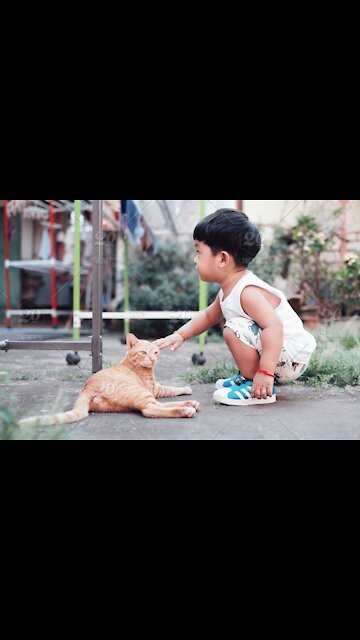 Small boy fun with cat // funny video