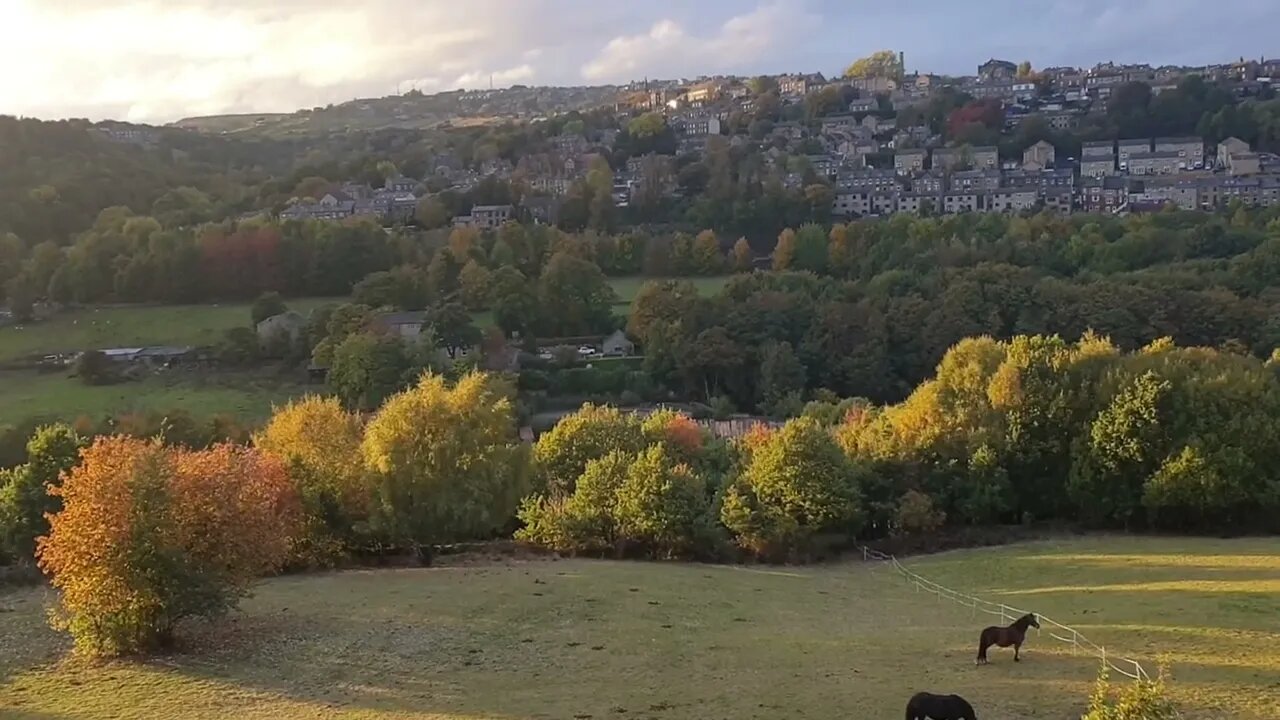 An Autumn Afternoon #short