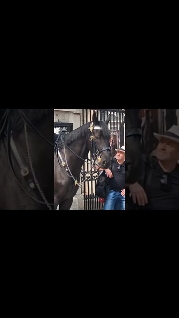 OMG THE MOMENT A TOURIST TOOK THE PISS AT BEING TOLD TO GET BACK LINK TO FULL VIDEO IN DESCRIPTION