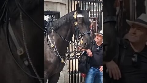 OMG THE MOMENT A TOURIST TOOK THE PISS AT BEING TOLD TO GET BACK LINK TO FULL VIDEO IN DESCRIPTION