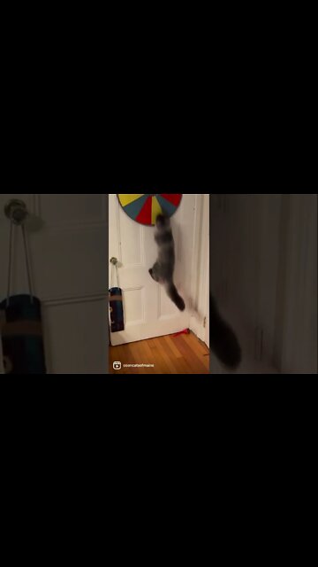 The Amazing Flying Satsuka