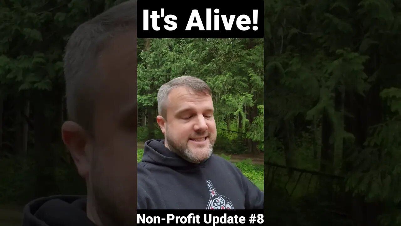 Non-Profit Update #8 | It's Alive! Formation meeting done!