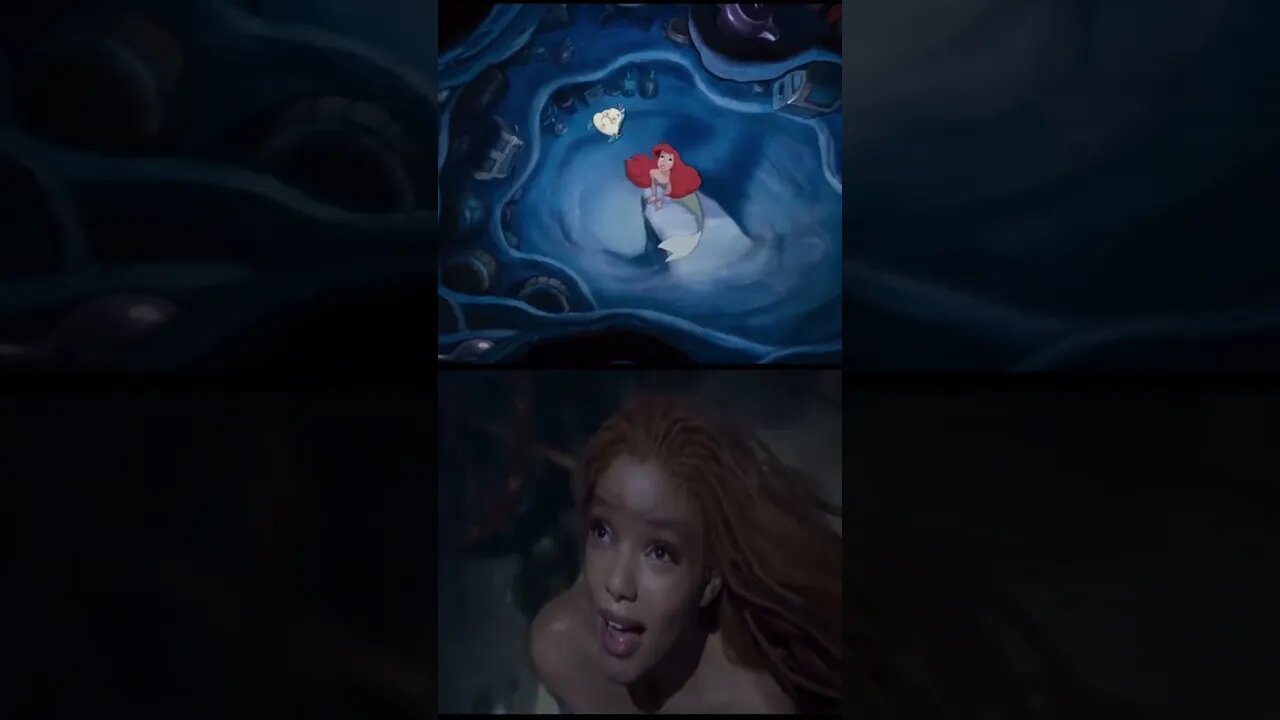 The Contrast between The Little Mermaid