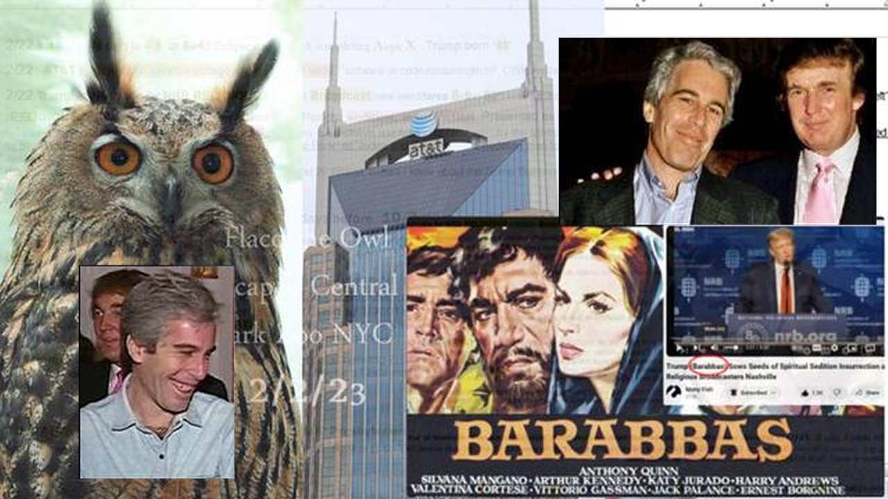 2/22 Nashville AT&T Athena Owls Christmas Christian School Sacrifice Flaco Owl NYC Trump!
