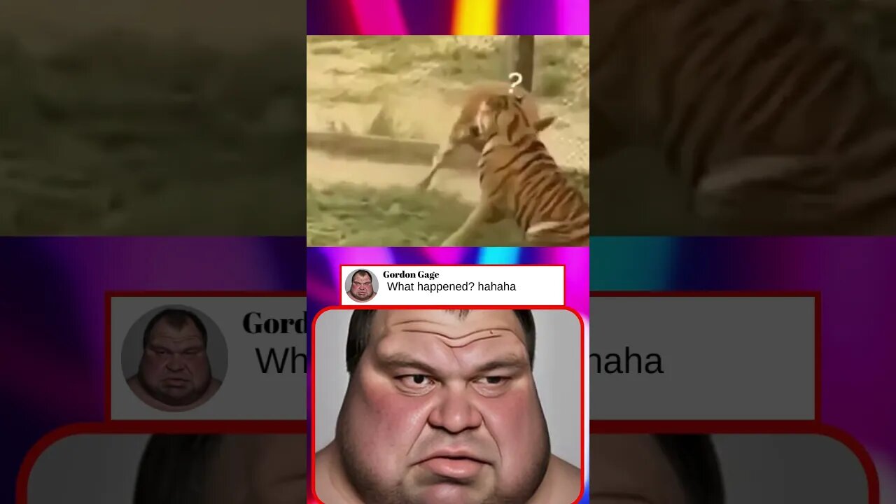Best react funny videos gordon reacts #shorts