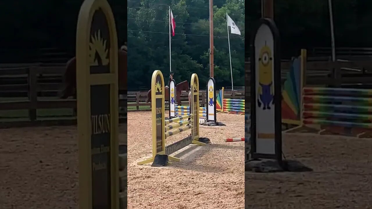 Lots of action