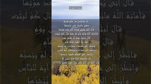 سورة البقرة الآية 259