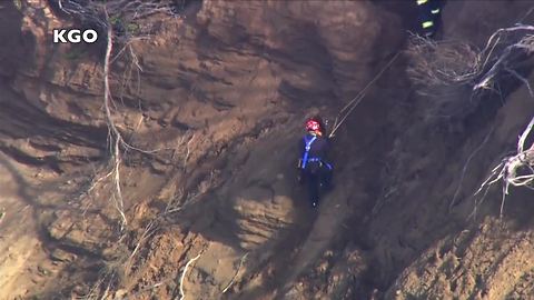 Dog rescued from side of San Francisco cliff