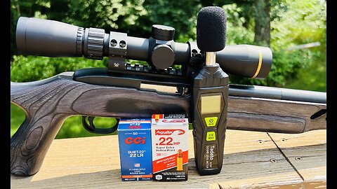 Ruger 10/22 Suppressed 22LR Subsonic Test!